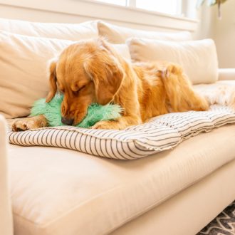 West Paw Rowdies plüss kutyajáték Freya Seafoam