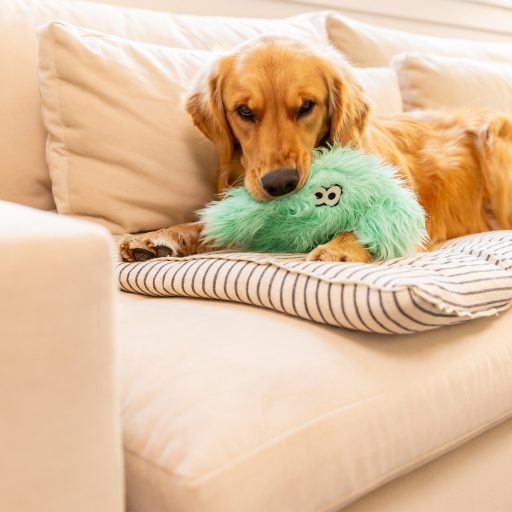 West Paw Rowdies plüss kutyajáték Freya Seafoam