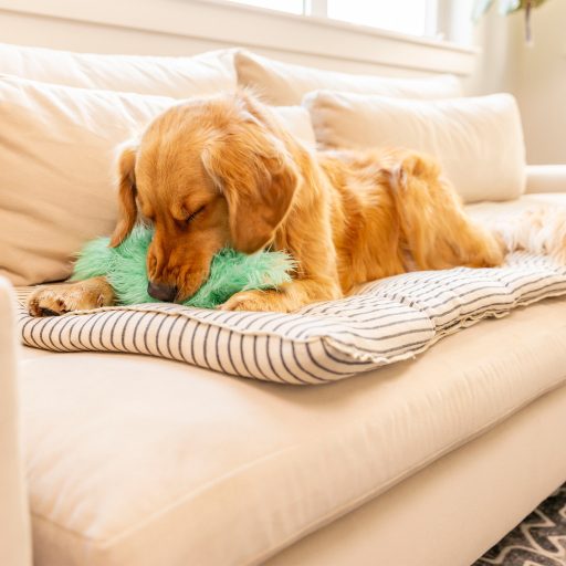 West Paw Rowdies plüss kutyajáték Leif Citrus