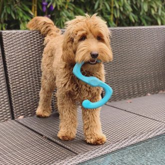 West Paw Bumi® S Aqua Blue