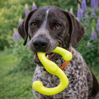 West Paw Bumi® S Granny Smith