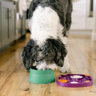 West Paw Etetőtál Kelp 1000ml