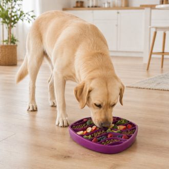   West Paw Feast Mat 2in1 Slow Feeder és Lick Mat Kutyáknak Waves Tropic Red