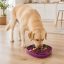 West Paw Feast Mat 2in1 Slow Feeder és Lick Mat Kutyáknak Waves Tropic Red