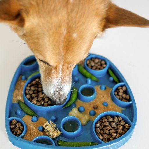 West Paw Feast Mat 2in1 Slow Feeder és Lick Mat Kutyáknak Bubble Marine