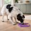 West Paw Feast Mat 2in1 Slow Feeder és Lick Mat Kutyáknak LIMITED EDITION Bubble Levander