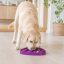 West Paw Feast Mat 2in1 Slow Feeder és Lick Mat Kutyáknak Bubble Tropic Red