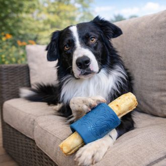   West Paw Funnl jutalomfalattal tölthető kutyajáték L Marine