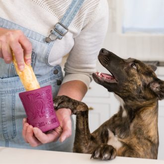   West Paw Funnl jutalomfalattal tölthető kutyajáték L Tropic Red