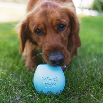   West Paw Rumbl jutalomfalattal tölthető kutyajáték S Aqua Blue