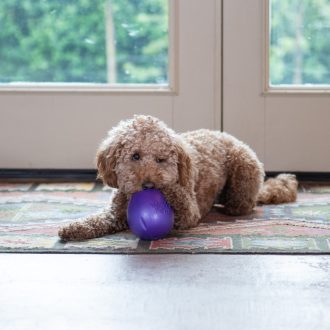  West Paw Rumbl jutalomfalattal tölthető kutyajáték L Eggplant