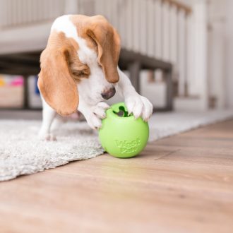   West Paw Rumbl jutalomfalattal tölthető kutyajáték L Jungle Green