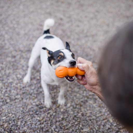 West Paw Rumpus M Tangerine