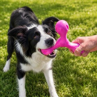 West Paw Skamp® L Hot Pink