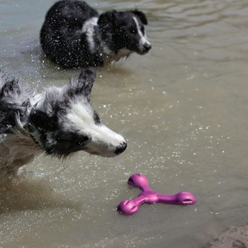 West Paw Skamp® L Hot Pink