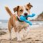 West Paw Tizzi® S Aqua