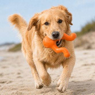West Paw Tizzi® L Tangerine