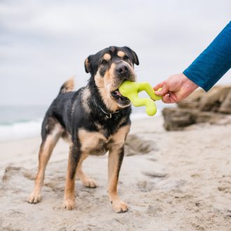 West Paw Tizzi® S Granny Smith