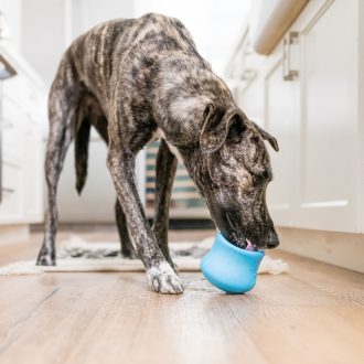 West Paw Toppl® S Aqua