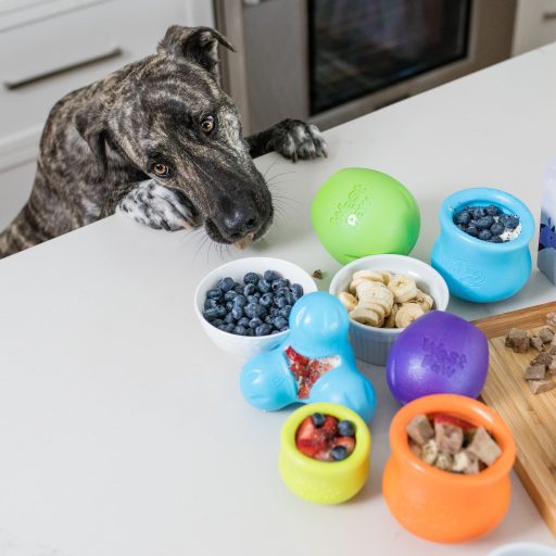 West Paw Toppl® XL Aqua