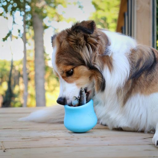 West Paw Toppl® XL Aqua