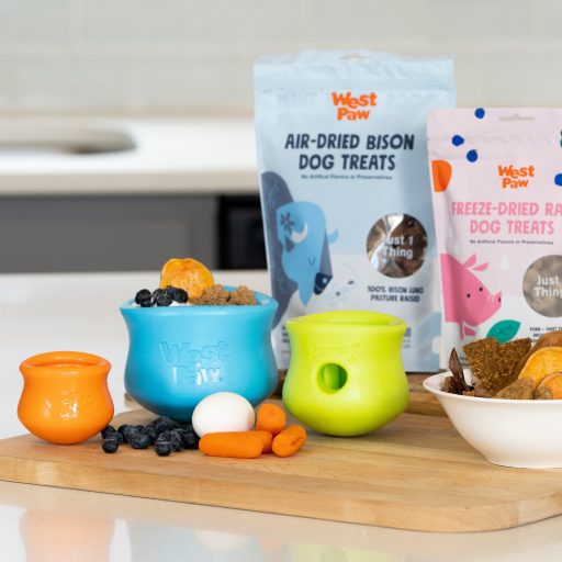 West Paw Toppl® XL Aqua