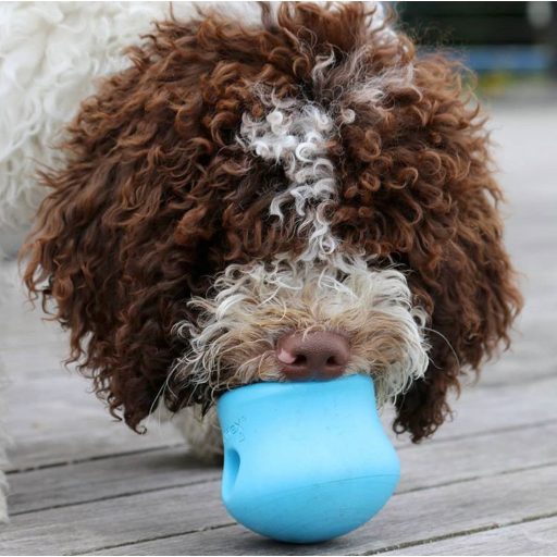 West Paw Toppl® XL Aqua