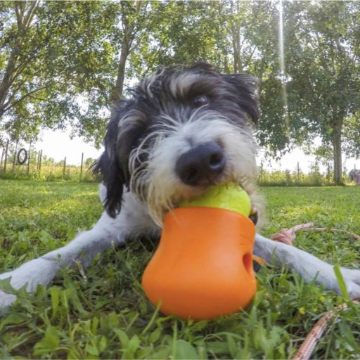 West Paw Toppl® XL Tangerine