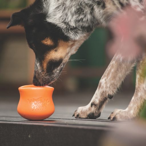 West Paw Toppl® XL Tangerine