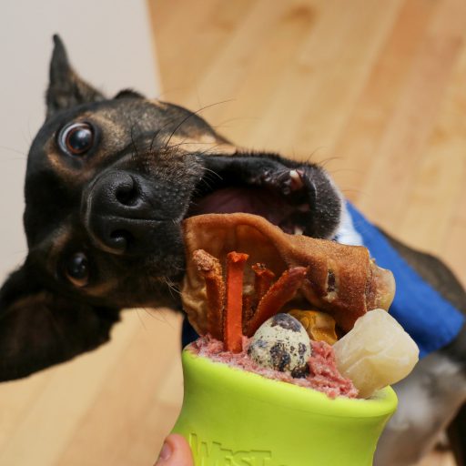 West Paw Toppl® S Granny Smith