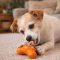 West Paw Tux® S Tangerine