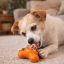 West Paw Tux® S Tangerine