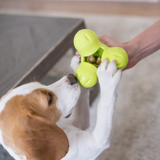 West Paw Tux® S Granny Smith