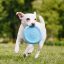 West Paw Zisc® L Aqua Blue