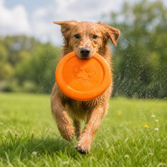 West Paw Zisc® S Tangerine