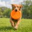 West Paw Zisc® L Tangerine