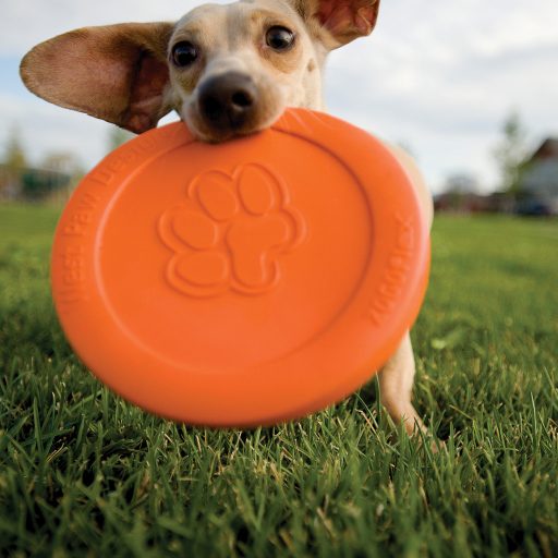 West Paw Zisc® S Tangerine