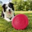 West Paw Zisc® S Ruby