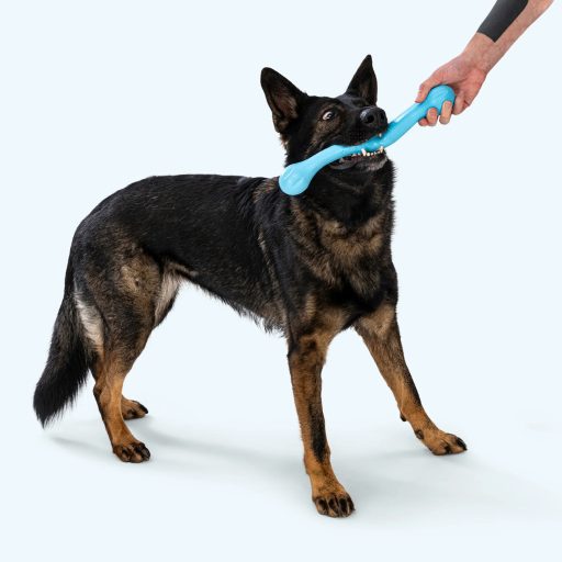 West Paw Zwig kutyajáték L Aqua Blue