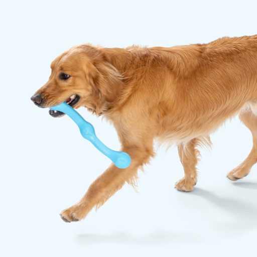 West Paw Zwig kutyajáték L Aqua Blue