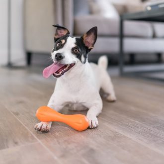 West Paw Hurley csont alakú kutyajáték XS Sunflower