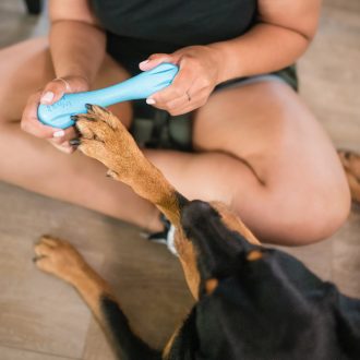 West Paw Hurley csont alakú kutyajáték XS Aqua