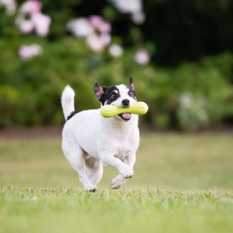 West Paw Hurley csont alakú kutyajáték XS Granny Smith