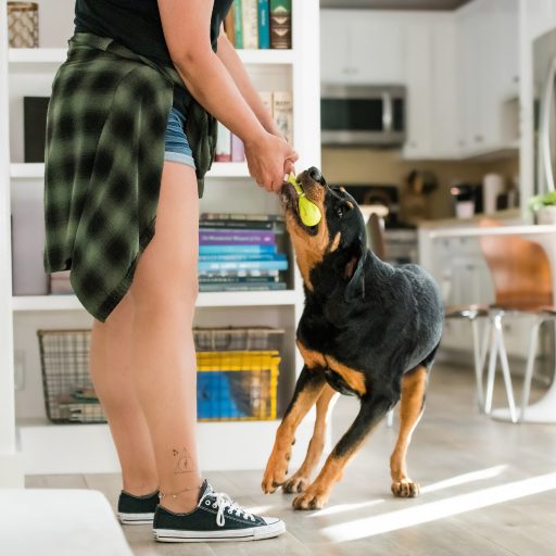 West Paw Hurley csont alakú kutyajáték XS Granny Smith