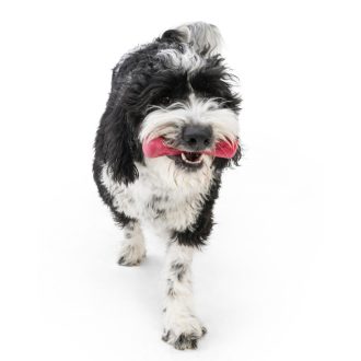 West Paw Seaflex Drifty kutyajáték S Hibiscus