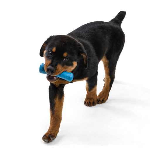 West Paw Seaflex Drifty kutyajáték S Surf 