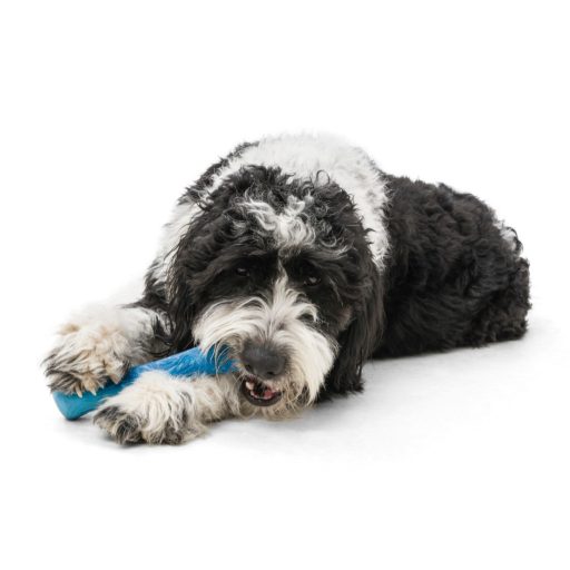 West Paw Seaflex Drifty kutyajáték S Surf 