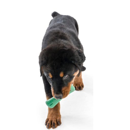 West Paw Seaflex Drifty kutyajáték L Emerald