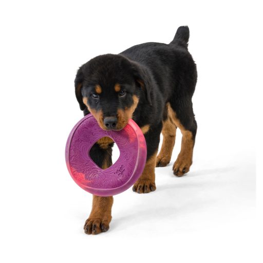 West Paw Seaflex Sailz frizbi kutyajáték L Hibiscus