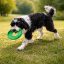 West Paw Seaflex Sailz frizbi kutyajáték L Emerald